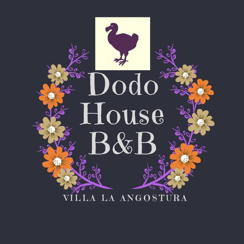 Bed and Breakfast Dodo House Villa La Angostura Exteriér fotografie